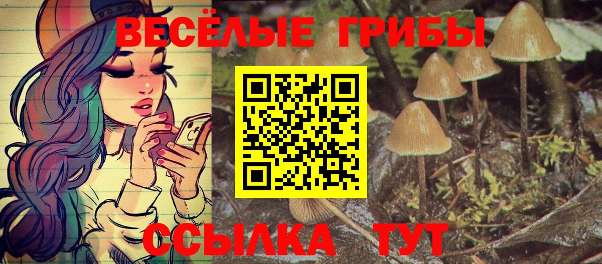 Вязники  Галлюциногенные грибы прущие грибы  Вход с VPN 