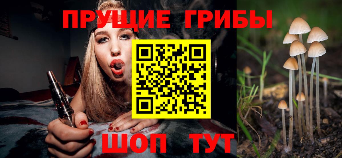 Псилоцибиновые грибы мицелий Вязники